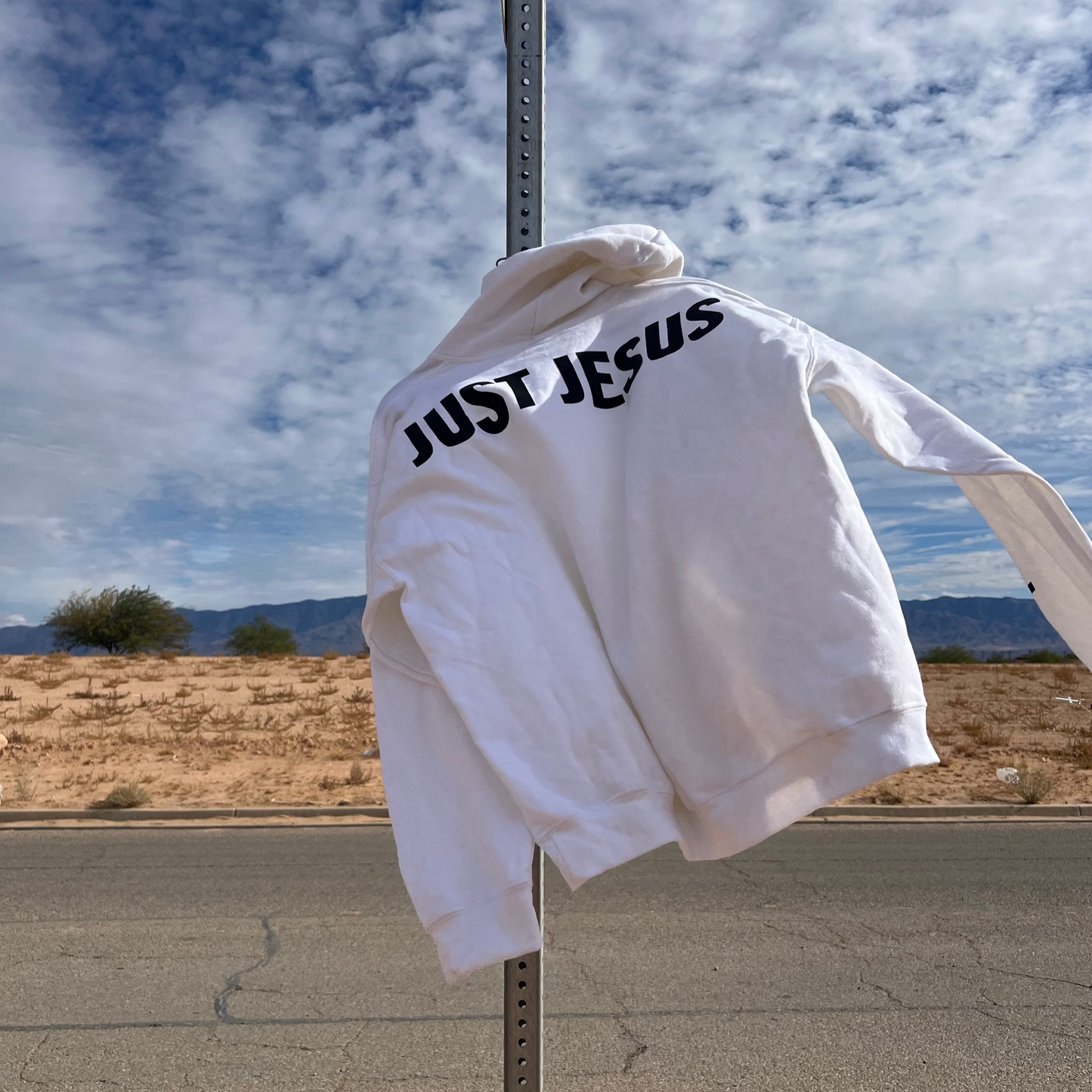 Unisex Hoodie | Genesis Collection | JUST JESUS